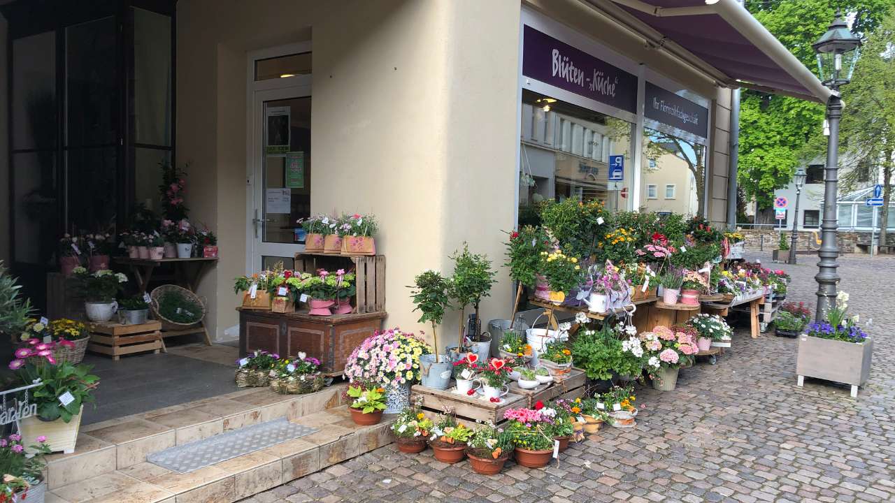 Foto Außenansicht Eingangsbereich mit Außenangebot wie Sommerstauden und Pflanzungen der Blüten-"Küche" Olbernhau