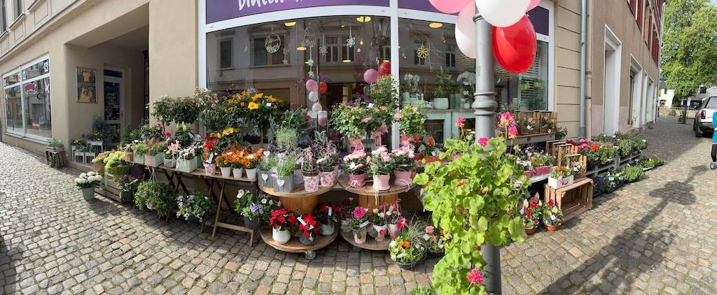 Foto Außenansicht der Blüten-"Küche" Olbernhau