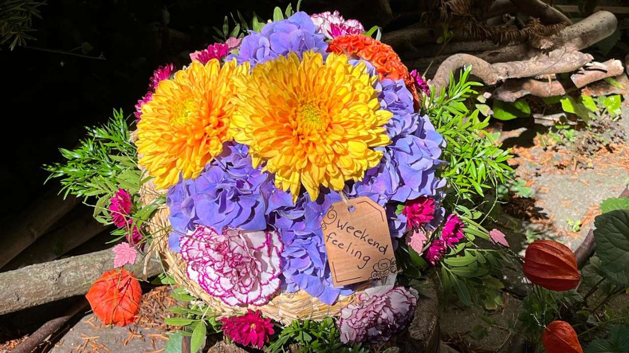 Blumen Olbernhau - Blütenküche - Foto Herbst-Blumenstrauß in der Natur fotografiert